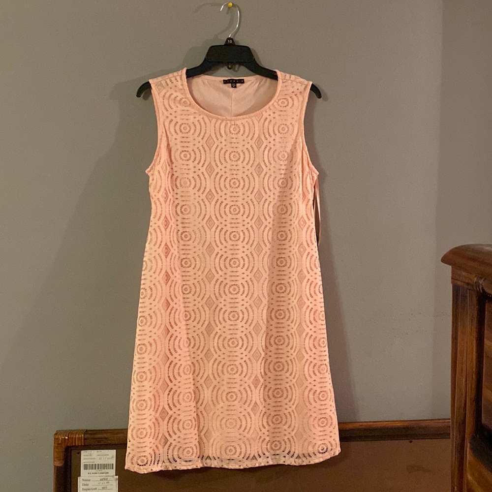 Missy Lace Slvls dress - 10